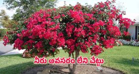 Road Accident: ఘోర రోడ్డు ప్రమాదం.. ఒకే కుటుంబానికి చెందిన నలుగురు మృతి