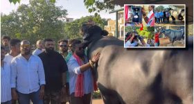 Guntur District Tragedy: విషాదం.. పిడుగుపాటుకు ఇద్దరు మహిళలు మృతి