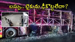 Kurnool Bus Accident: కర్నూలు బస్సు ప్రమాదం.. పోలీసుల అదుపులో బైకర్ ఫ్రెండ్, షాకింగ్ విషయాలు వెల్లడి