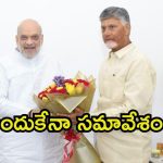 Delhi Politics: అమిత్ షాతో సీఎం చంద్రబాబు.. ముప్పావు గంట భేటీ, వైసీపీలో వణుకు?