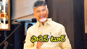 CM Chandrababu: లండన్ టూర్‌కి సీఎం చంద్రబాబు.. షెడ్యూల్ ఖరారు,  ఎప్పుడంటే..