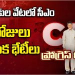 CM Chandrababu: దుబాయ్‌లో సీఎం చంద్రబాబు చేసింది ఇదే.. పెట్టుబడులకు రెడ్ కార్పెట్!