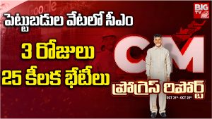 CM Chandrababu: దుబాయ్‌లో 3 రోజుల పాటు కొనసాగిన సీఎం టూర్