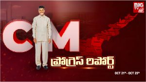 CM Chandrababu: సీఎం చంద్రబాబు మాస్టర్ ప్లాన్.. ఏపీ ప్యూచర్ ఎలా ఉండబోతుందంటే ?