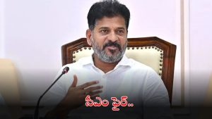 CM Revanth Reddy: ప్రభుత్వానికి చెడ్డ పేరు తేవొద్దు.. అధికారులపై సీఎం రేవంత్ ఫైర్
