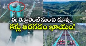 Gutti Vankaya Curry: నోరూరించే గుత్తి వంకాయ కర్రీ.. ఇలా చేస్తే ఎవ్వరైనా ఫిదానే !