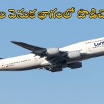 Crime in Flight: విమానంలో మెటల్ ఫోర్క్‌తో ఇద్దరిని పొడిచాడు.. సిబ్బంది అదుపు చేయడానికి ప్రయత్నించినప్పటకీ..?