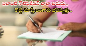 DDA Recruitment: ఇంటర్, డిగ్రీ అర్హతలతో 1732 ఉద్యోగాలు.. ఇలాంటి ఉద్యోగం వస్తే లైఫ్ సెట్ బ్రదర్, రేపటి నుంచే దరఖాస్తు ప్రక్రియ