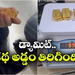 Viral Video: అండర్ వేర్ లో కిలో బంగారం.. ఎయిర్ పోర్టులో అడ్డంగా బుక్కైన కిలేడీ!