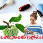 Diabetes health Tips: డయాబెటిస్‌కు సులువైన పరిష్కారం.. ఈ పండు ఆకు నీటిని తాగితే చాలు!