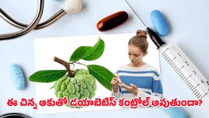 Diabetes health Tips: డయాబెటిస్‌కు సులువైన పరిష్కారం.. ఈ పండు ఆకు నీటిని తాగితే చాలు!