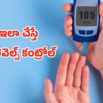 Diabetes Diet: మధుమేహం నియంత్రణకు పంచ సూత్రాలు.. పర్ఫెక్ట్ డైట్ పూర్తి వివరాలు