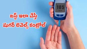 Diabetes Diet: మధుమేహం నియంత్రణకు పంచ సూత్రాలు.. పర్ఫెక్ట్ డైట్ పూర్తి వివరాలు