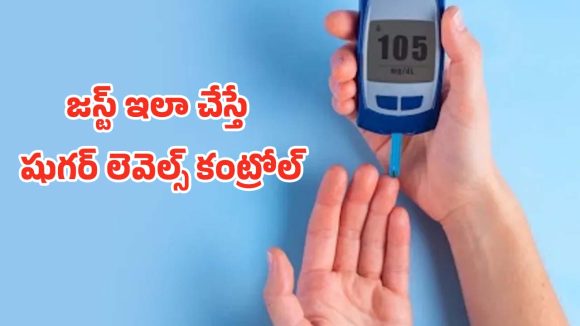 Diabetes Diet: మధుమేహం నియంత్రణకు పంచ సూత్రాలు.. పర్ఫెక్ట్ డైట్ పూర్తి వివరాలు