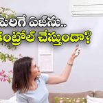 AC Effect on Skin: ఏసీలో ఎక్కువ సేపు గడిపితే.. ఎప్పటికి ముసలోళ్లు అవ్వరా? పరిశోధనలు ఏం చెబుతున్నాయంటే?