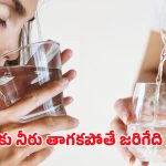 Drinking Water: నీళ్లు తాగడం మానేస్తే శరీరం ఏమవుతుందో తెలుసా? నిజం తెలుసుకుంటే షాక్ అవుతారు