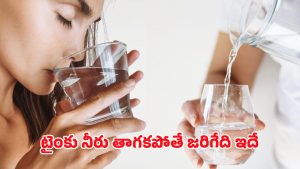 Drinking Water: నీళ్లు తాగడం మానేస్తే శరీరం ఏమవుతుందో తెలుసా? నిజం తెలుసుకుంటే షాక్ అవుతావు