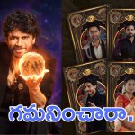 Bigg Boss 9 : వైల్డ్ కార్డ్ ఎంట్రీ తో వచ్చిన వాళ్ళ క్యారెక్టర్స్  ఏంటి? గమనించారా?