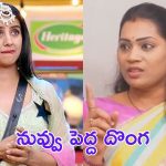 Duvvada Madhuri : మాధురికి సినిమా చూపిస్తానంటున్న సంజన.. జుట్టు జుట్టు పట్టుకొని…