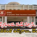 ESIC Posts: ఈఎస్ఐసీ నుంచి ఉద్యోగ నోటిఫికేషన్ విడుదల.. ఈ అర్హత ఉంటే ఉద్యోగం నీదే బాస్, డోంట్ మిస్