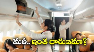 Airline Apology: జ్వరంతో చనిపోయిన ఎయిర్ హోస్టెస్.. లీవ్ లెటర్ అడిగిన విమాన సంస్థ.. నెటిజన్లు ఆగ్రహం!