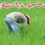 Farmer Scheme: వ్యవసాయ భూమి ఉంటే చాలు.. ఈజీగా రూ.50వేలు పొందవచ్చు.. అప్లికేషన్ విధానం ఇదే..