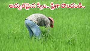 Farmer Scheme: వ్యవసాయ భూమి ఉంటే చాలు.. ఈజీగా రూ.50వేలు పొందవచ్చు.. అప్లికేషన్ విధానం ఇదే..