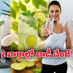 Fat Lose Tips: 99% ప్రజలకు తెలియని ఫిట్‌నెస్ రహస్యాలు.. 2 వారాల్లో ఫ్యాట్ తగ్గించుకునే ట్రిక్స్