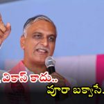Harish Rao: తెలంగాణ అంటే బీజేపీకి ఎందుకింత చిన్నచూపు.. వారు ఉత్తర భారతదేశం పక్షాన మాత్రమే..?: హరీష్ రావు