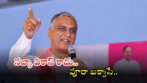 Harish Rao: తెలంగాణ అంటే బీజేపీీకి ఎందుకింత చిన్నచూపు.. వారు ఉత్తర భారతదేశం పక్షాన మాత్రమే..?: హరీష్ రావు
