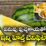 Yellow Watermelon: ఎల్లో వాటర్‌ మిలన్‌.. తింటే ఆరోగ్యానికి ఇంత మంచిదా?