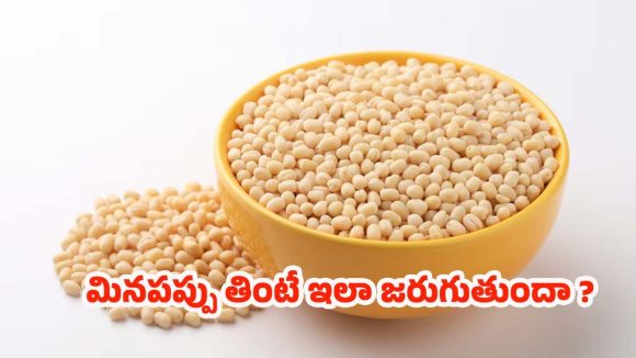 Health Tips: ఇంటి వంటల్లో దాగిన ఆరోగ్య రహస్యం.. ఈ పప్పు మీ ఆయుష్షు పెంచుతుంది