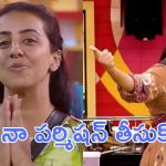 Bigg Boss 9 : రైస్ కి ఆ మాత్రం గోల పెట్టేసింది, ఈయనకి పప్పులో టమోటాలు కావాలట
