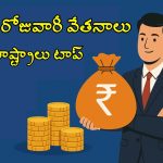 Highest Daily Salary States: అత్యధిక రోజువారీ జీతం ఉన్న టాప్ 10 రాష్ట్రాలివే.. తెలుగు స్టేట్స్ ప్లేస్ ఇదే
