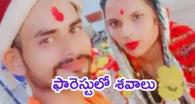 Honour Killing: పరువు హత్య.. సోదరులు ఘాతుకం, చెల్లి-ఆమె భర్తను గొంతు కోసి చంపేసి, మృతదేహాలను