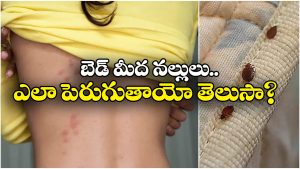 Bed Bugs: బెడ్ మీద నల్లులు నిద్రలేకుండా చేస్తున్నాయా? ఇలా చేస్తే మళ్లీ రావు!