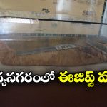 Mummy in Hyderabad: 2500 ఏళ్ల నాటి ఈజిప్ట్ మమ్మీ.. హైదరాబాద్‌లోనే ఉంది తెలుసా?