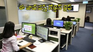 IPPB Executive: డిగ్రీ పాసైన వారికి గోల్డెన్ ఛాన్స్.. ఐపీపీబీలో భారీగా ఉద్యోగాలు, స్టార్టింగ్ వేతనమే రూ.30వేలు