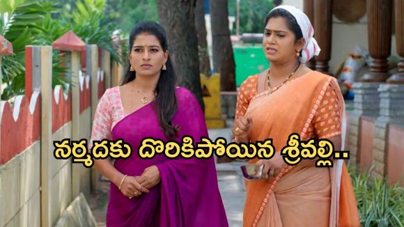 Illu Illalu Pillalu Today Episode: కొడుకుల కోసం కన్నీళ్లు పెట్టుకున్న రామరాజు.. నర్మదతో సాగర్ గొడవ.. ప్రేమకు గుడ్ న్యూస్..