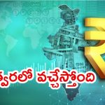 Digital Currency: ఇండియాలో డిజిటల్ కరెన్సీ.. క్రిప్టో కరెన్సీని నో ఛాన్స్, మంత్రి గోయల్ క్లారిటీ