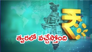 Digital Currency: ఇండియాలో డిజిటల్ కరెన్సీ.. క్రిప్టో కరెన్సీని నో ఛాన్స్, మంత్రి గోయల్ క్లారిటీ