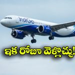 Hyderabad–Madinah Flights: హైదరాబాద్ నుంచి మదీనాకు నేరుగా విమానాలు, గుడ్ న్యూస్ చెప్పిన ఇండిగో!