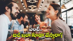 Viral Video: ఆర్డర్ చేసిన ఫుడ్ తో పాటు.. తినే ప్లేట్లకూ పే చేయాలట, భలే విచిత్రంగా ఉందే!