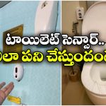 Sensor Toilet: ఆ రైలులో ‘సెన్సార్’ టాయిలెట్.. మనోళ్లు ఉంచుతారో, ఊడపీకుతారో!