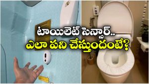 Sensor Toilet: ఆ రైలులో ‘సెన్సార్’ టాయిలెట్.. మనోళ్లు ఉంచుతారో, ఊడపీకుతారో!