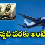Flight Ticket: జస్ట్ రూపాయికే విమాన టికెట్, ఇండిగో అదిరిపోయే ఆఫర్!