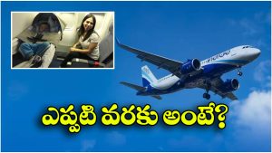 Flight Ticket: జస్ట్ రూపాయికే విమాన టికెట్, ఇండిగో అదిరిపోయే ఆఫర్!