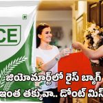 JioMart Offer on Rice Bag: జియోమార్ట్ అదిరే ఆఫర్.. 26 కిలోల బియ్యం మరీ ఇంత తక్కువ ధరకా?