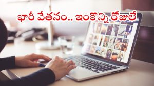 Jobs in RITES: రైట్స్‌లో భారీగా ఉద్యోగాలు.. ఈ క్వాలిఫికేషన్ ఉంటే జాబ్ మీదే బ్రో, ఇంకెందుకు ఆలస్యం