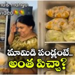 Viral Video: సీజన్‌తో పనిలేదు.. ఈ బామ్మ దగ్గర 365 రోజులు మామిడి పండ్లు దొరుకుతాయ్, అందుకు ఏం చేస్తోందంటే?